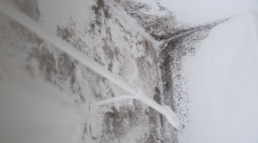 Why choose water damage restoration service for emergency water extraction services in Broad Run